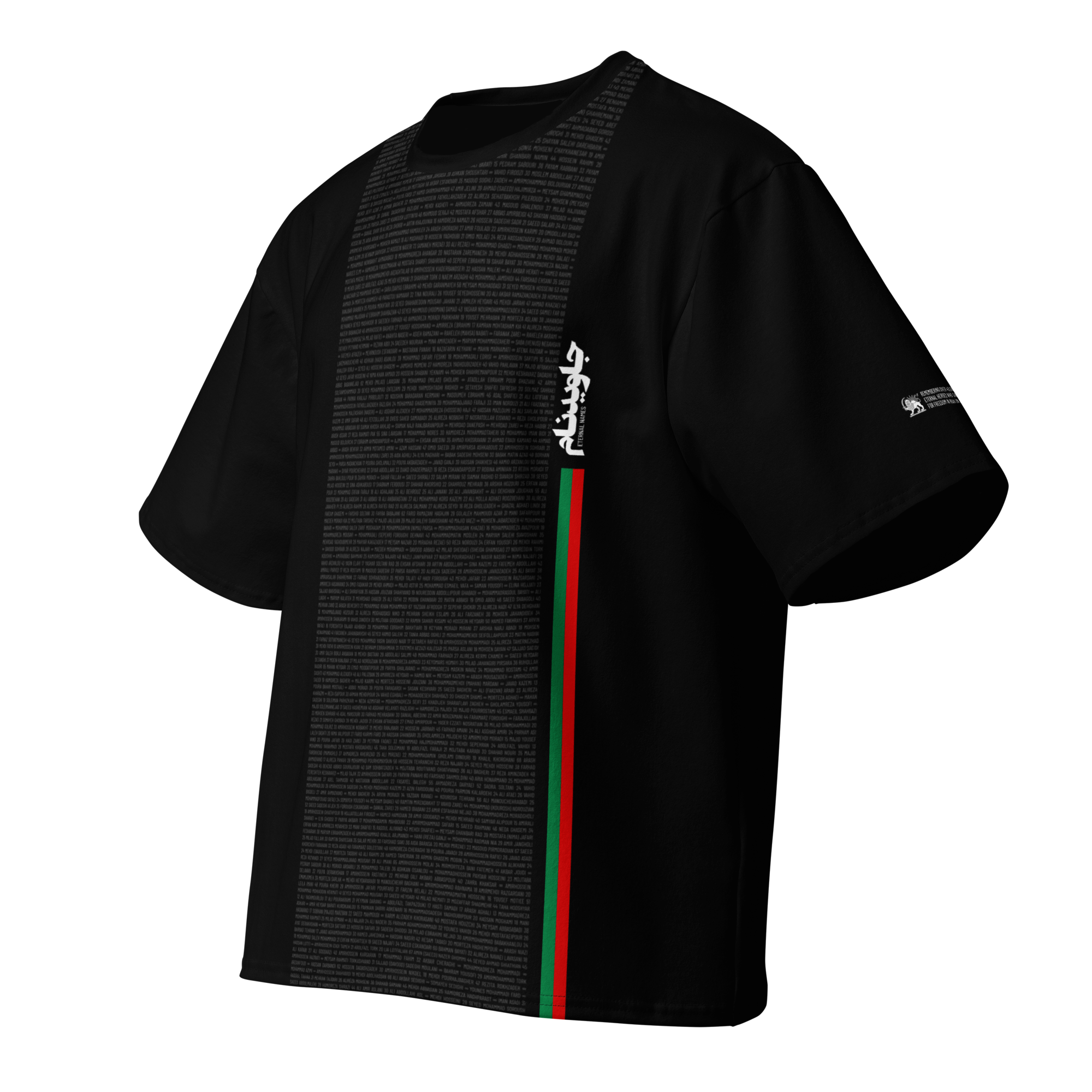 Javidnam 1615 Names Tee / Black