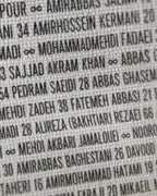 Textured fabric with printed Persian names and numbers, evoking heritage and identity.