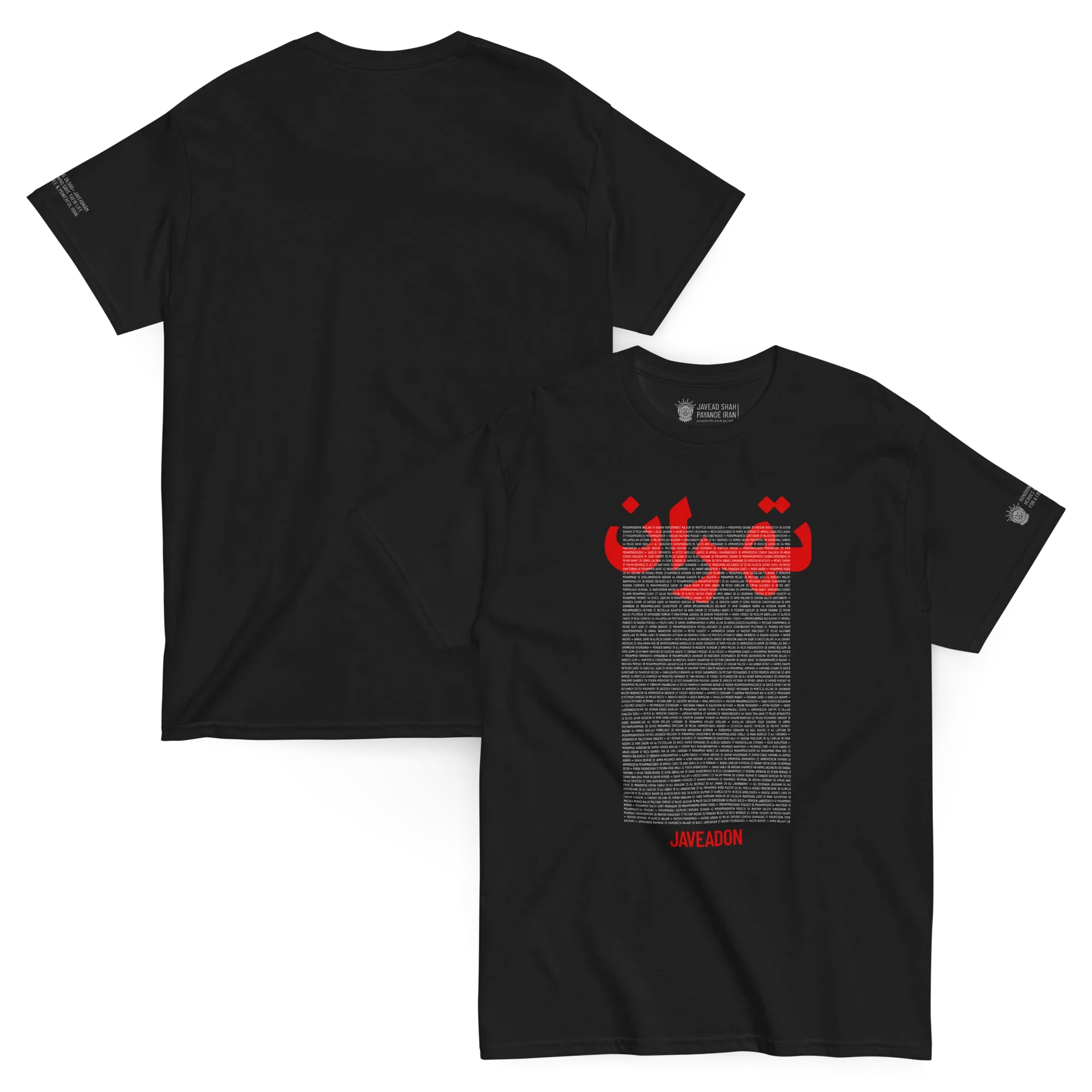 Black streetwear t-shirt with red Persian-inspired graphic, text, and lion emblem, symbolizing heritage and resilience.