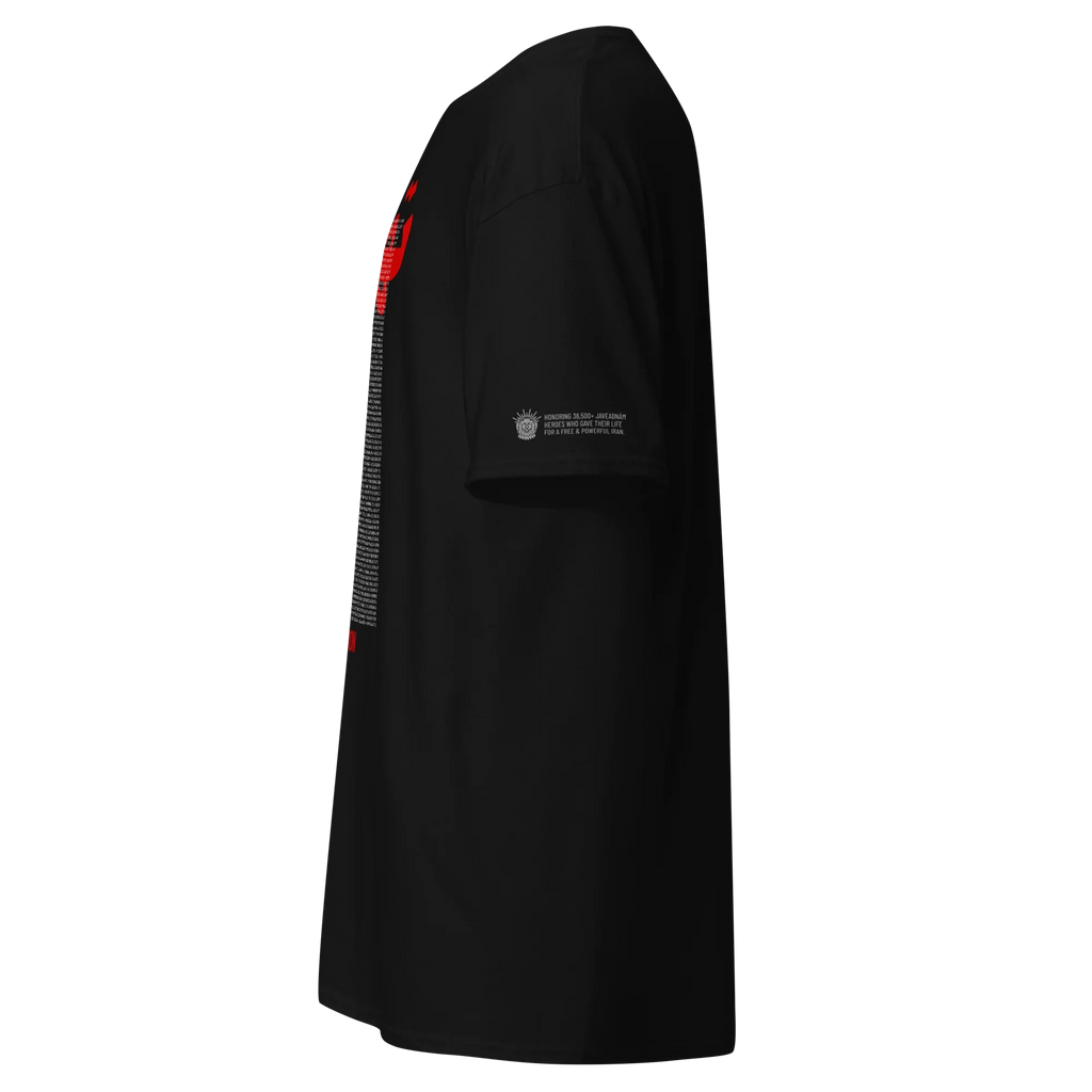 Black streetwear tee with red sleeve graphic and Persian heritage tribute text on sleeve, honoring resilience and freedom.