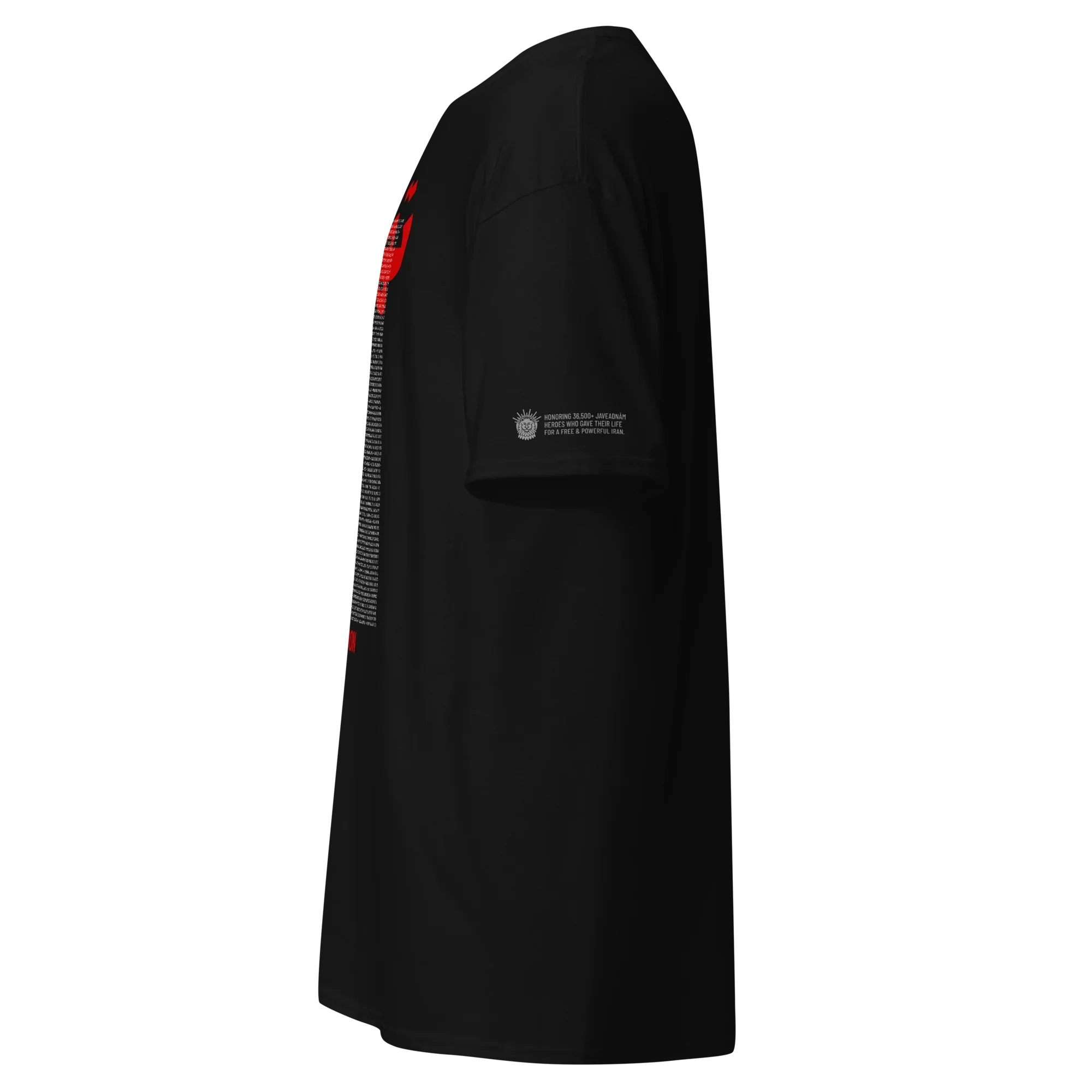 Black streetwear tee with red sleeve graphic and Persian heritage tribute text on sleeve, honoring resilience and freedom.
