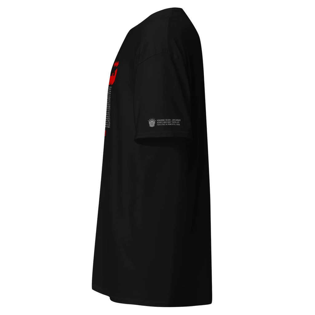 Black streetwear tee with red lion graphic and tribute text honoring Persian heroes for freedom
