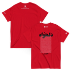 Red Persian heritage t-shirt with Lion & Sun emblem and Farsi text, modern streetwear design
