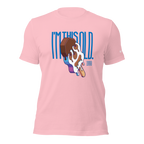 Nostalgic Aroosaki Unisex Tee / Pink
